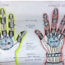 hands.png