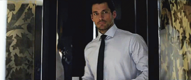 2618273355D9331419.gif