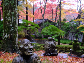 Serene Sengokuhara, Hakone, with ancient temples and Pola Museum art amid pampas fields. Perfect for tourists and locals seeking Japan travel spirituality, cultural tours, and hidden gems, capturing Hakone’s volcanic soul in every sacred Japan travel moment.
