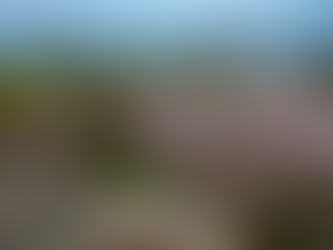 Tranquil Ohori Park, Fukuoka, with castle ruins, koi ponds, and gardens near Ohori Koen Station. Ideal for tourists and locals seeking Japan travel culture, history, and serene walks, capturing Kyushu’s shogunate charm in every verdant Japan travel moment.