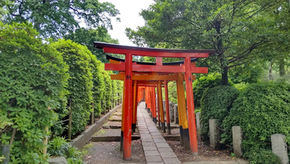 Yanaka old quarter in Tokyo Japan with Edo-era temples, mossy stone statues, Yanaka Cemetery cherry blossoms, and Nezu Shrine—historic travel district near Ueno for tourists and locals exploring samurai graves, quiet alleys, and traditional Japanese culture.