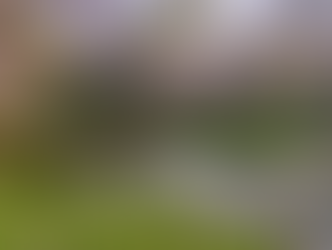 Sumiyoshi district in Osaka Japan with Sumiyoshi Taisha Shrine, arched bridge, riverside trails, and lush parks—popular travel spot for tourists and locals enjoying wellness spas, reflexology, Edo-era heritage, and serene nature near Osaka Station.