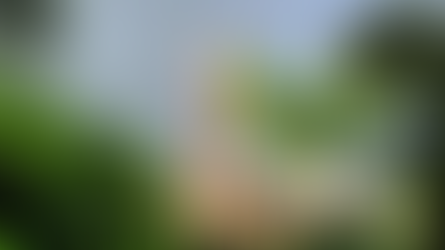 Minato Mirai Yokohama Japan with Red Brick Warehouse, Cosmo Clock 21 Ferris wheel, maritime museums, and harborfront memorials—futuristic port district near Minato Mirai Station for tourists and locals exploring Meiji-era ships, Yokohama port history, skyline views, shopping, and cultural sightseeing along Kanagawa’s waterfront.