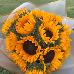 Singing Sunflowers