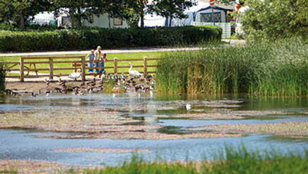 Marton Mere