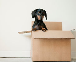 erda-estremera-sxNt9g77PE0-unsplash_edit