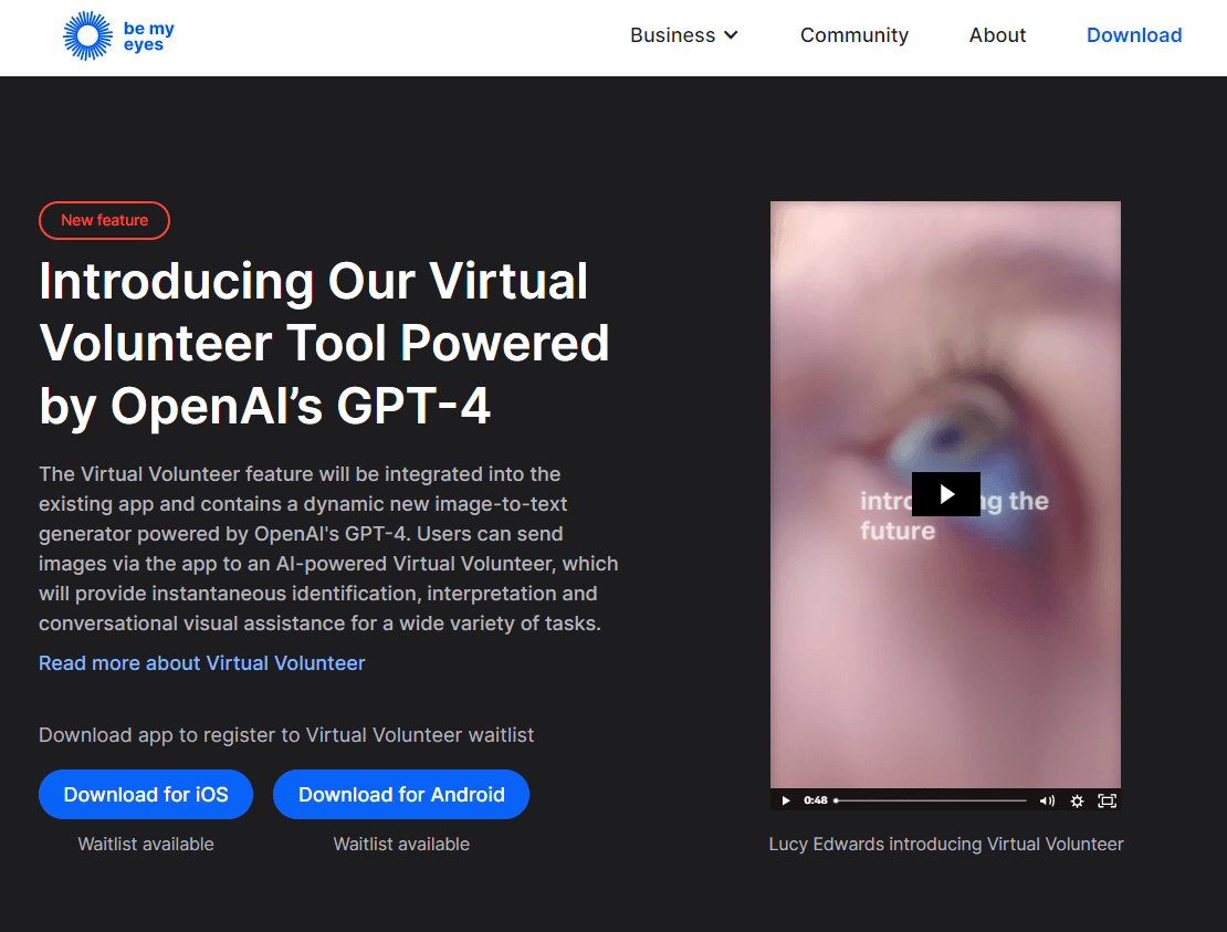 Be My Eyes Enhancing Visual Assistance for Blind & LowVision Users