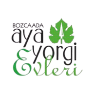 ayayorgi.png