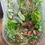 Thumbnail: 13 x 6 Large Wine glass terrarium