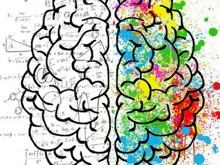 🧠 How Your Brain’s Processing Style Shapes the Way You Learn 💭