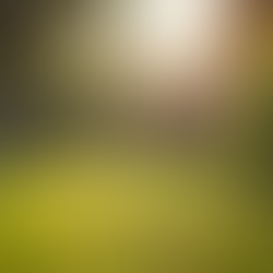 Comprehensive Addiction Care: Treatment Options in Harare