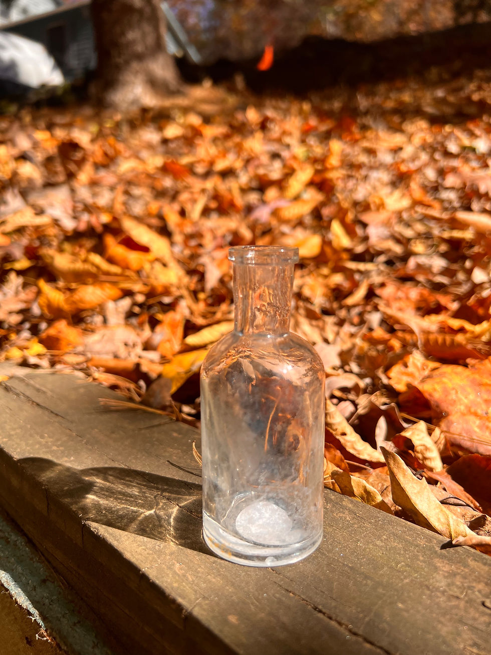 Thumbnail: Apothecary Bottles (the lot)