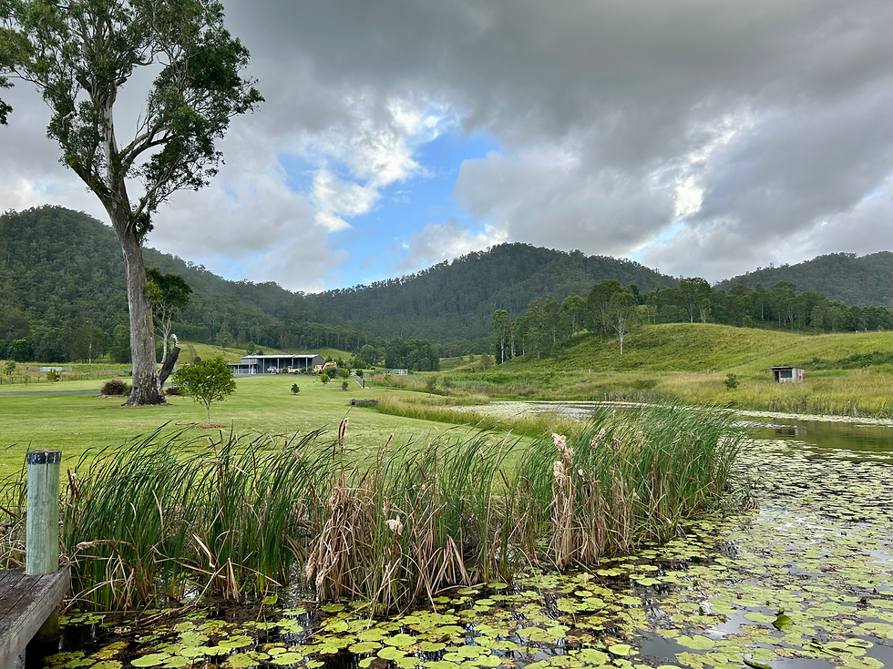 A view from the main jetty to the farm shed.