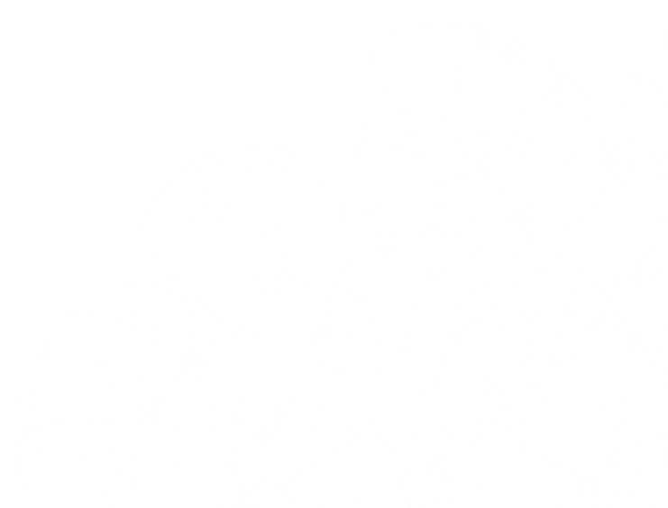 HOJA2_edited.png