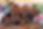 TRAIL-1.png