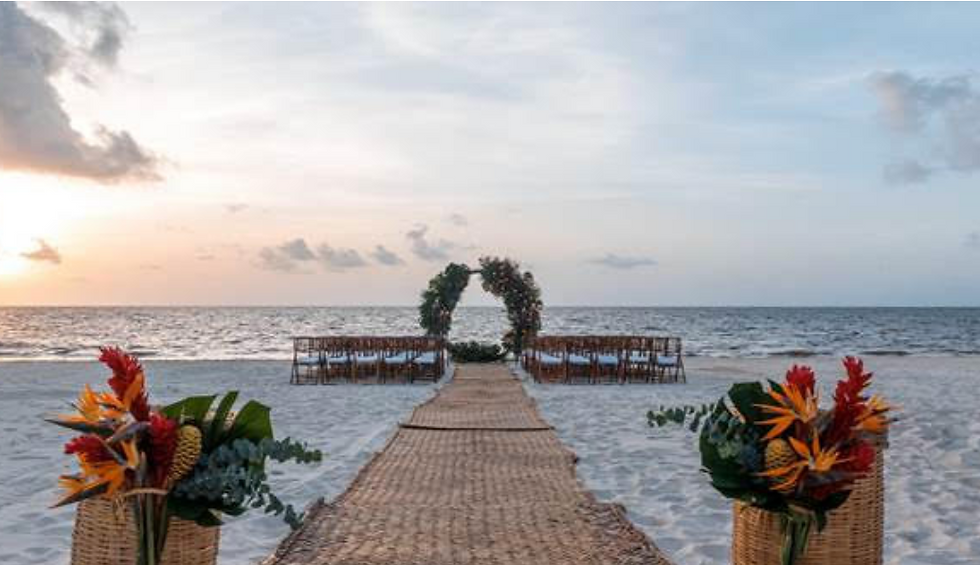 Cocktail and Dinner Reception