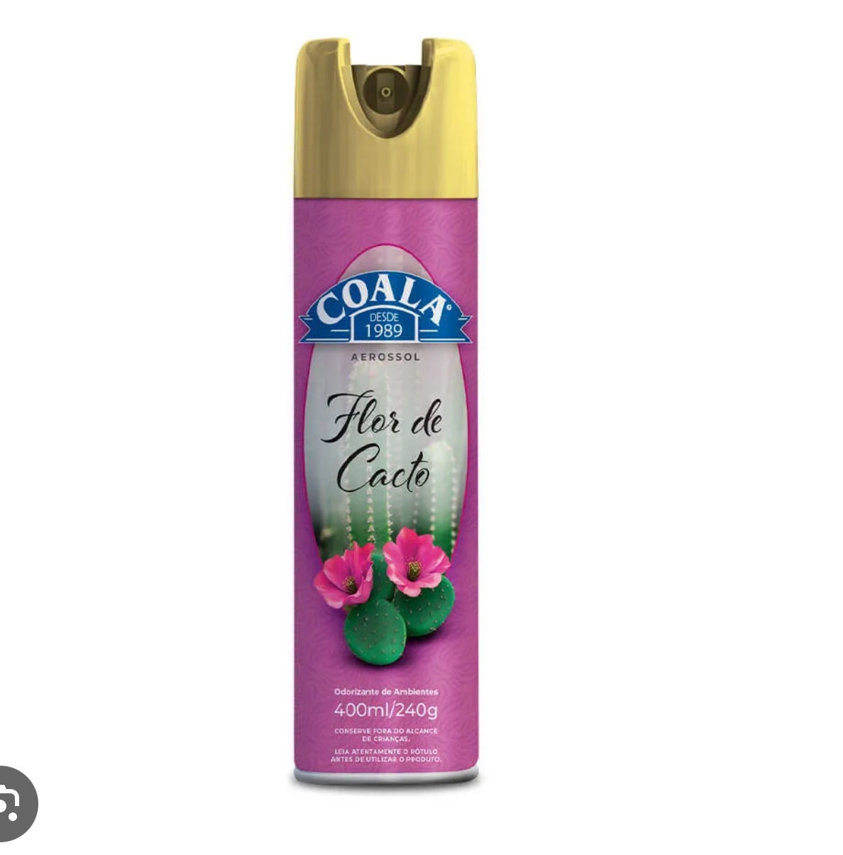 Coala Aerossol Flor de Cacto 400ml 