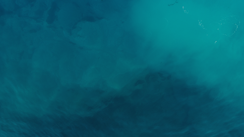 Zoom Banners.png