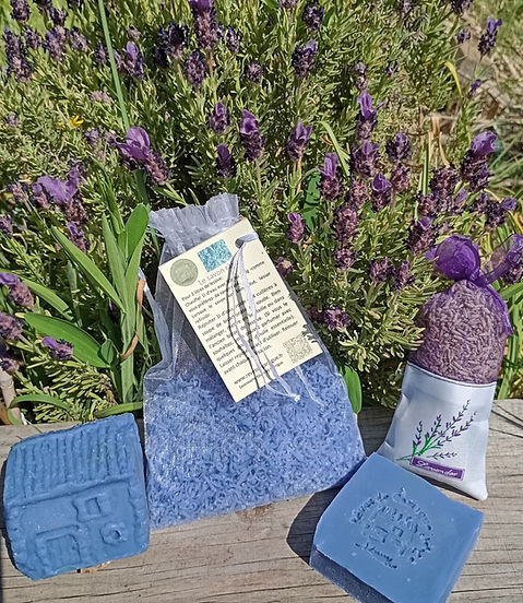 savon lessive lavande provence.jpg