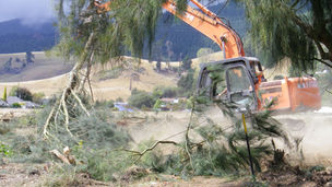 Tree clearing 