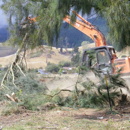 Tree clearing
