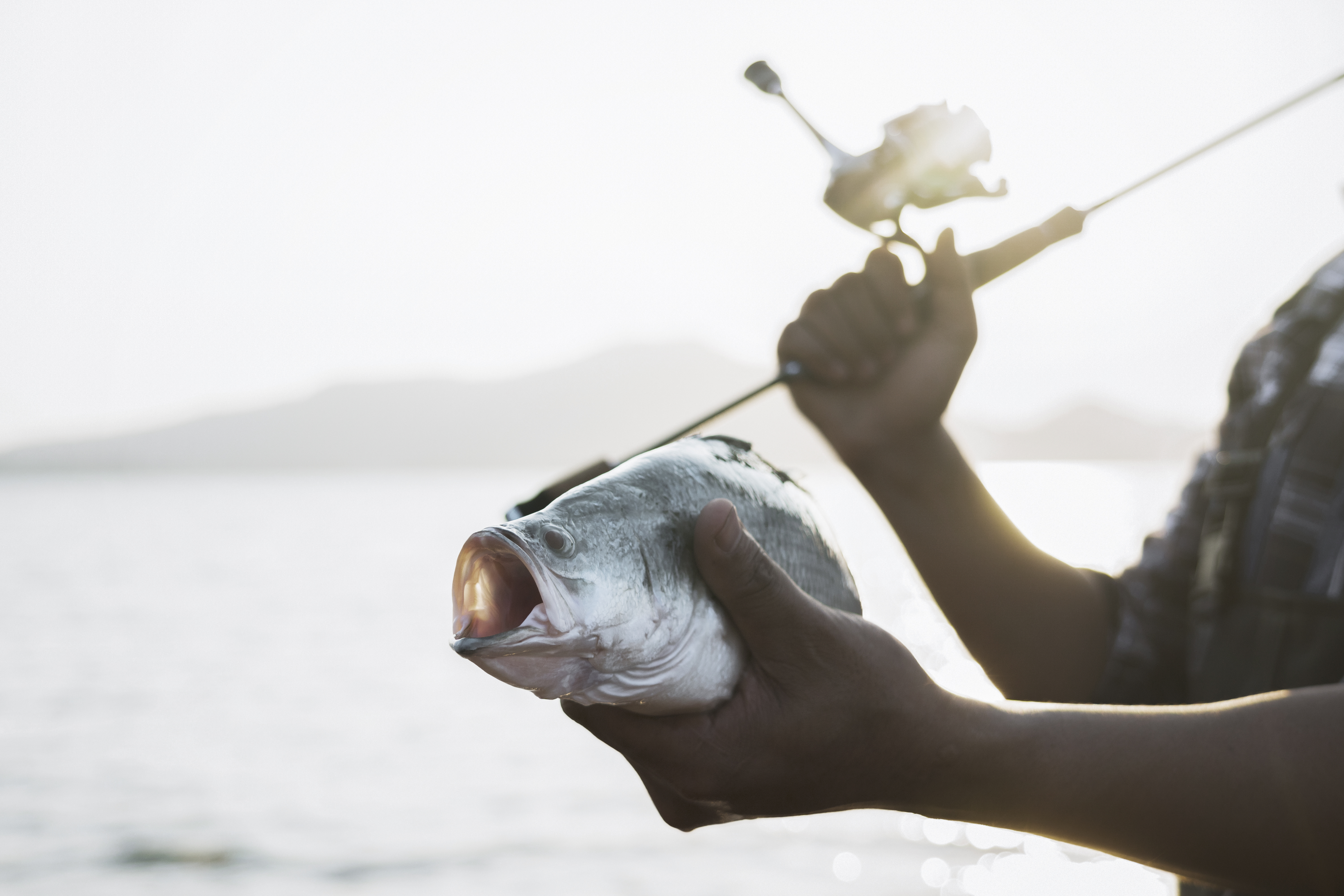 Forfaits de pêche à la truite steelhead — Sporty Too Charters – Sporty Too Charters