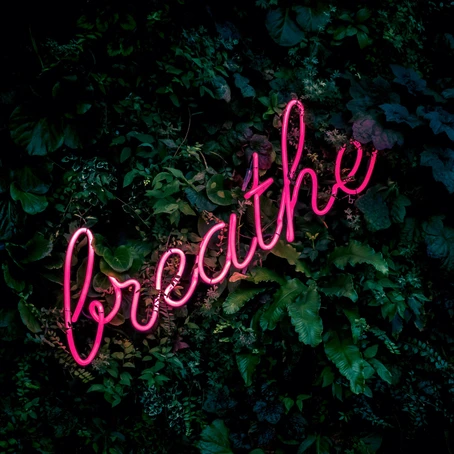 Breathe In & Out Gratitude