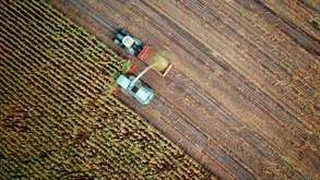 Climate Change:  What About Agriculture? 