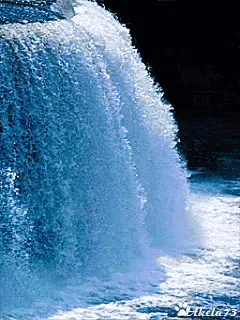 received_2064015460294373.gif