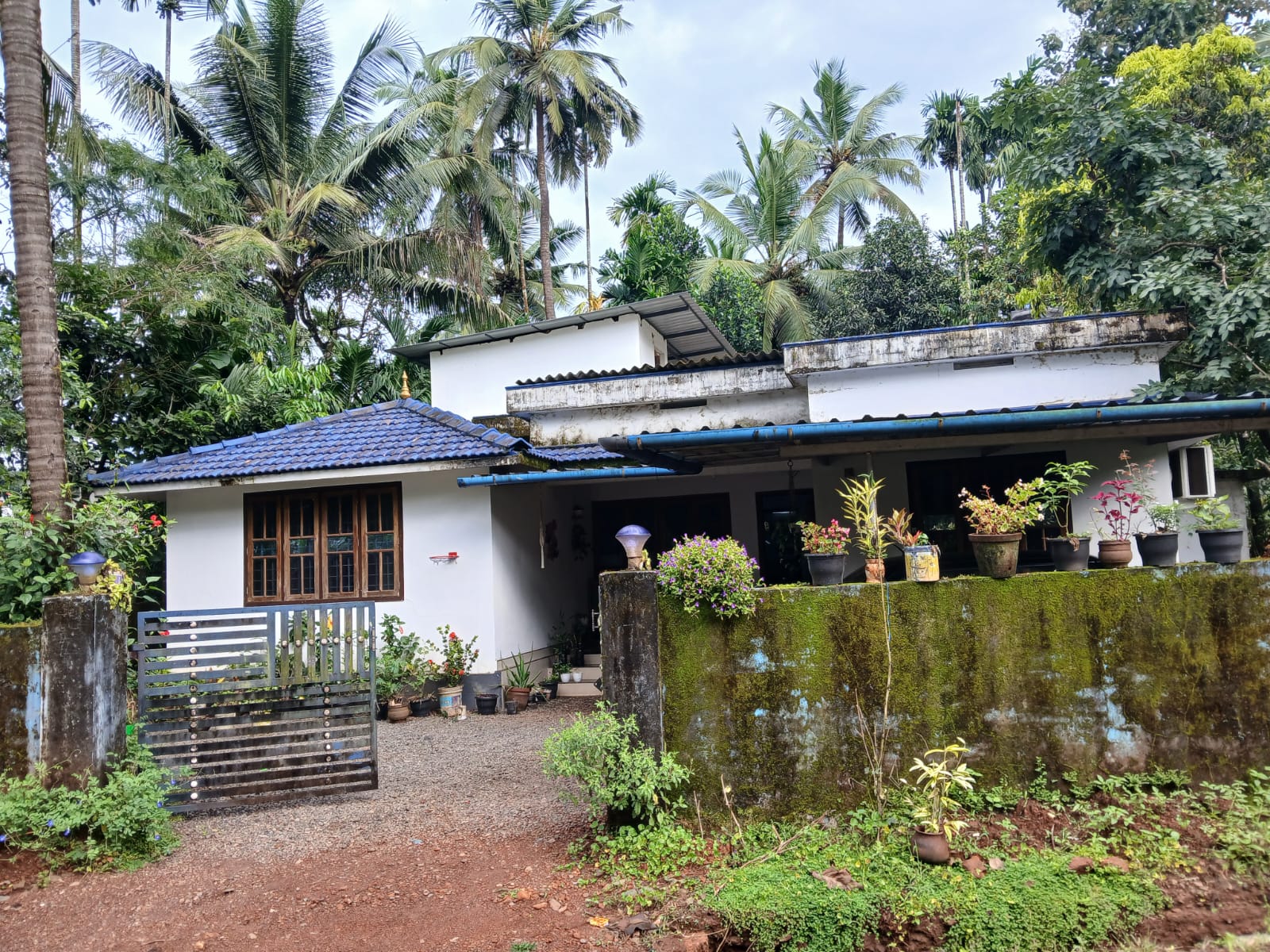 a placeholder image.