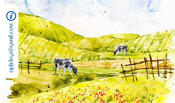 Cartel VETOCC_edited.jpg