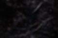 89080003-Edit-Edit-2.jpg