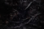 89080003-Edit-Edit-2.jpg