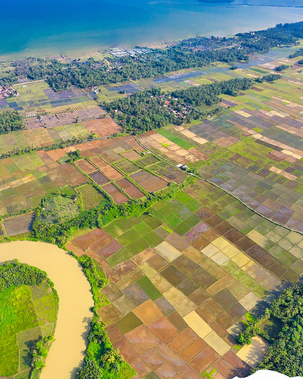 White and Light Brown Simple Land Plot Sale Promotion Instagram Post.png