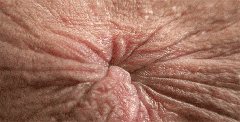 tumblr_nk8slhbYSb1rrsuiko1_500.gif