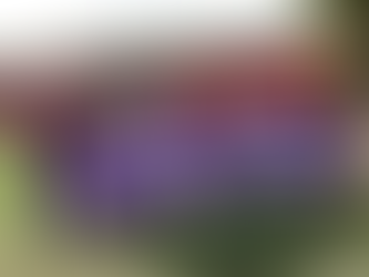 A abertura do Campeonato Baiano de Futebol 2026 marcou o lançamento de uma campanha do Governo da Bahia para conscientização e enfrentamento da violência contra a mulher, usando o alcance do esporte como instrumento social.