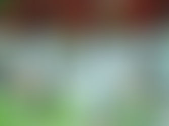 Ao encarar o Brasil em amistoso, a seleção senegalesa celebra uma fase vitoriosa, com campanha sem derrotas nas Eliminatórias, estrelas como Sadio Mané e desempenho forte sob comando de Pape Thiaw.