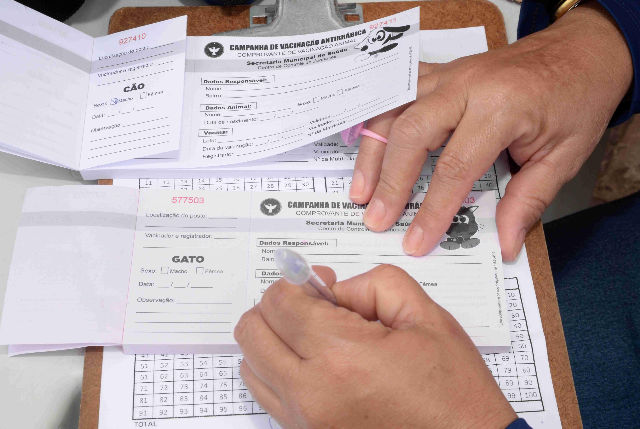 Prefeitura amplia vacinação e orientação contra a raiva em áreas de grande circulação durante o Carnaval.