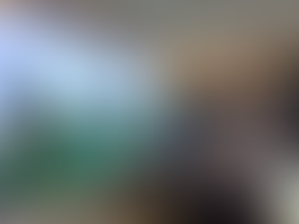 Durante a COP30, o governador Jerônimo Rodrigues apresentou as iniciativas da Bahia na área de energia sustentável e reforçou o compromisso do estado com a agenda climática global