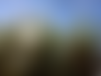 Alta luminosidade, temperaturas elevadas e chuvas bem distribuídas tornam o verão decisivo para lavouras e pecuária na Bahia.