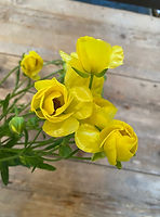 IMG_7819.jpeg