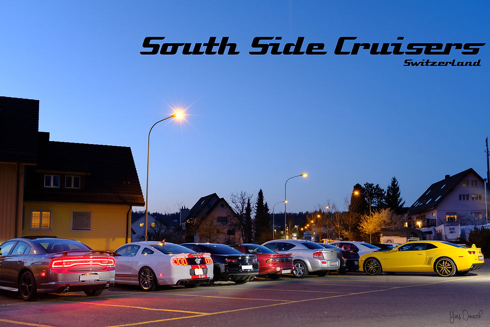 sscatnight