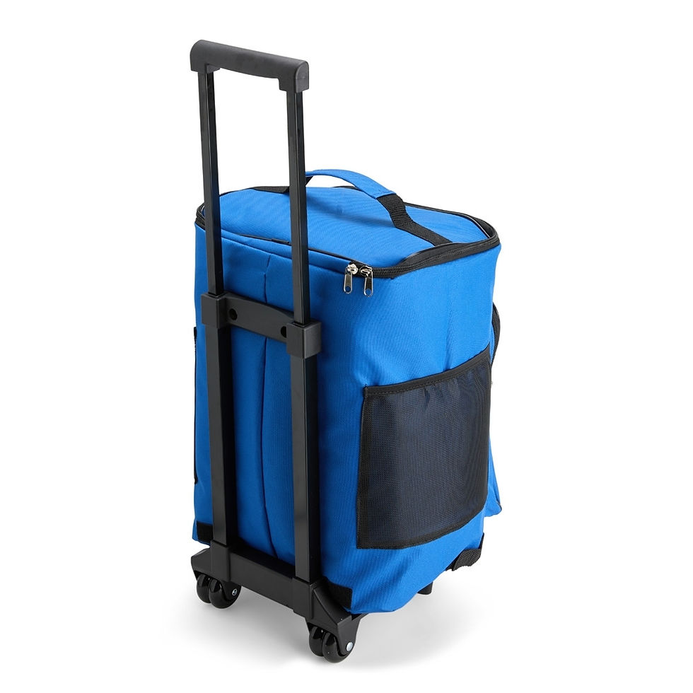 Bolsa Térmica Personalizada, Bolsa Térmica para Personalizar