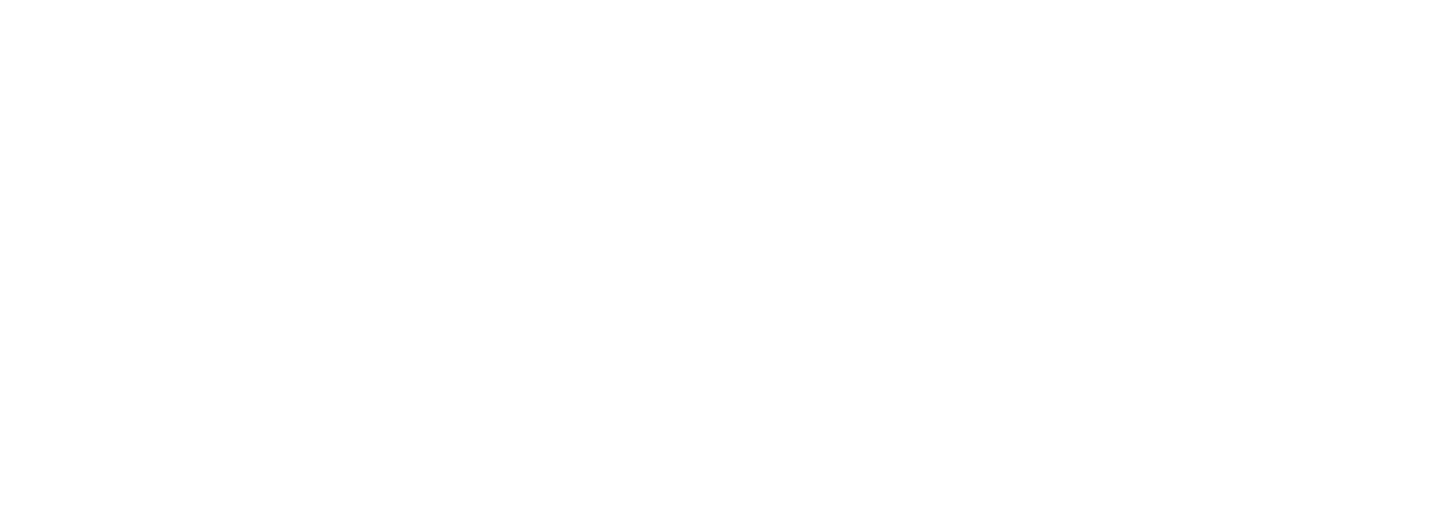 Demi Lauren Studios