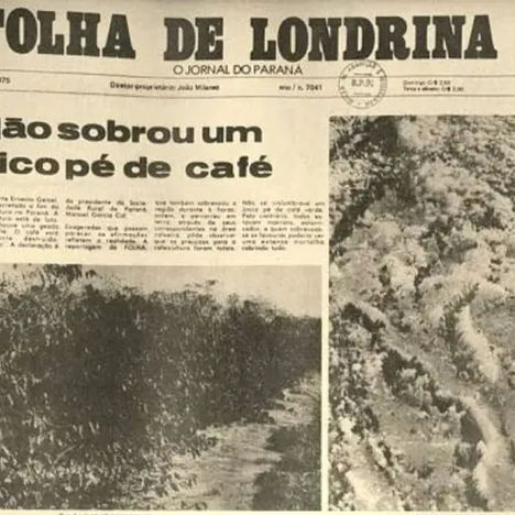 A GEADA NEGRA DE 1975: O evento climático que transformou a agricultura brasileira.
