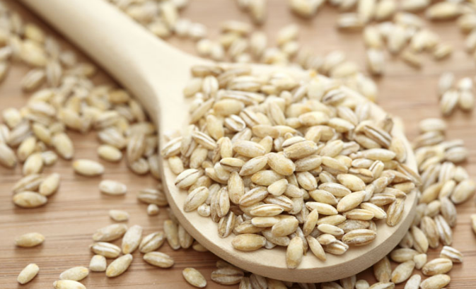 https://cidadeverde.com/noticias/193826/cevada-um-cereal-nutritivo-e-cheio-de-beneficios