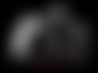 Libro Muro Dolomitico / Martin Nemec