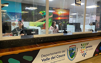 Importancia de los Impuestos