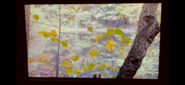 IMG_7228.PNG