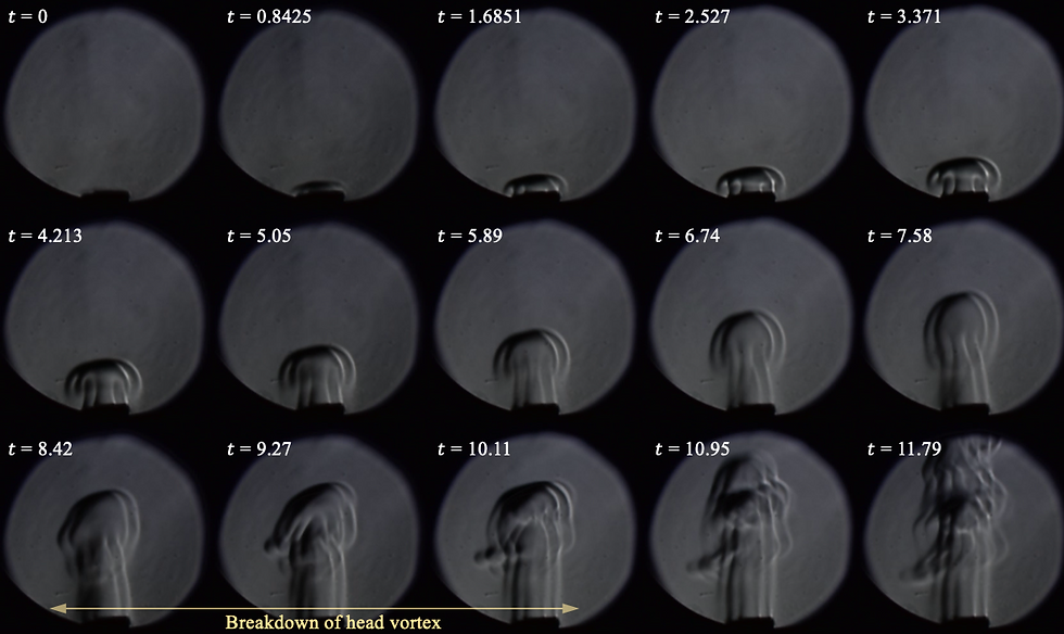 Head Vortex of Negative Buoyant Jet